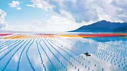 “五個(gè)一”，習(xí)近平總書(shū)記科學(xué)概括生態(tài)文明建設(shè)戰(zhàn)略地位